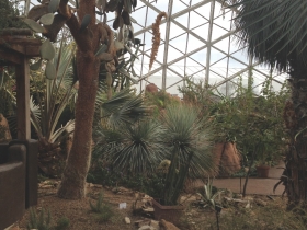 A look inside The Domes.