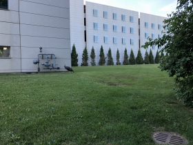 Development Site