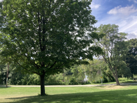 Humboldt Park