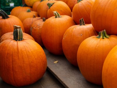 Entertainment: A Pumpkin Patch Pop-up