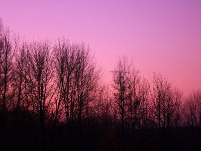 The State of Politics: Just How Purple Is Wisconsin?