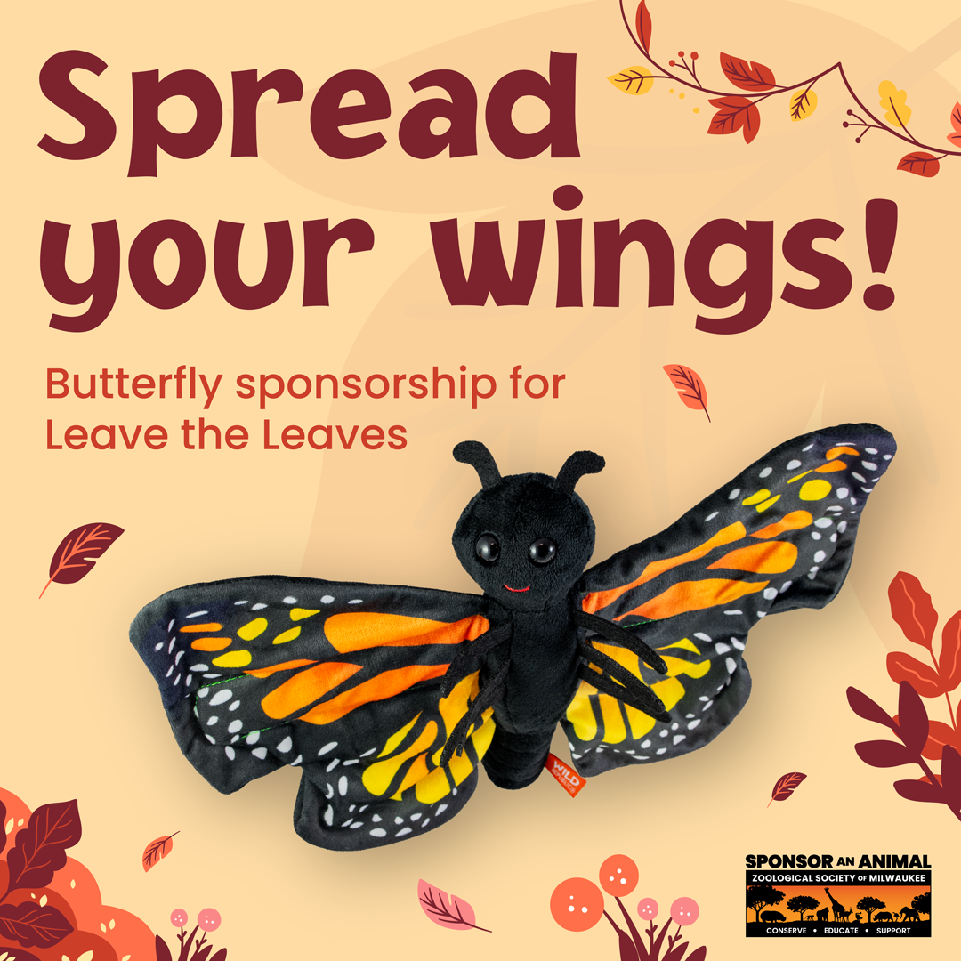 Leave the Leaves